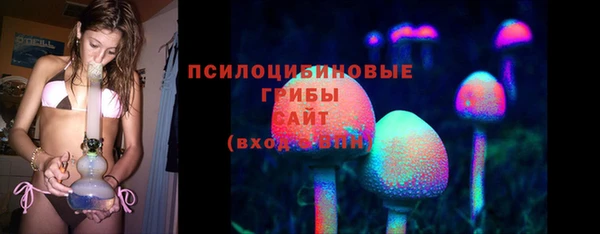 первитин Богданович