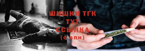 первитин Богородицк