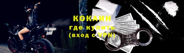 ECSTASY Богородск