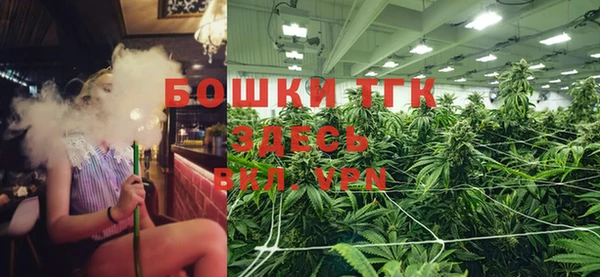 первитин Богданович