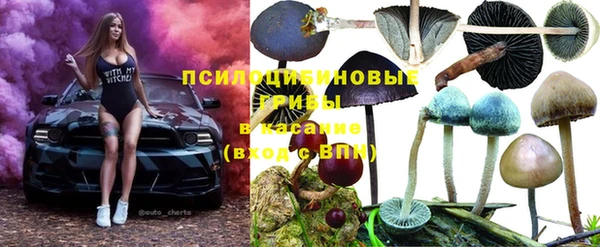 ECSTASY Богородск