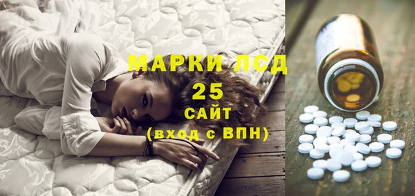 первитин Богородицк