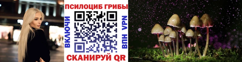 Псилоцибиновые грибы Magic Shrooms  Среднеуральск 